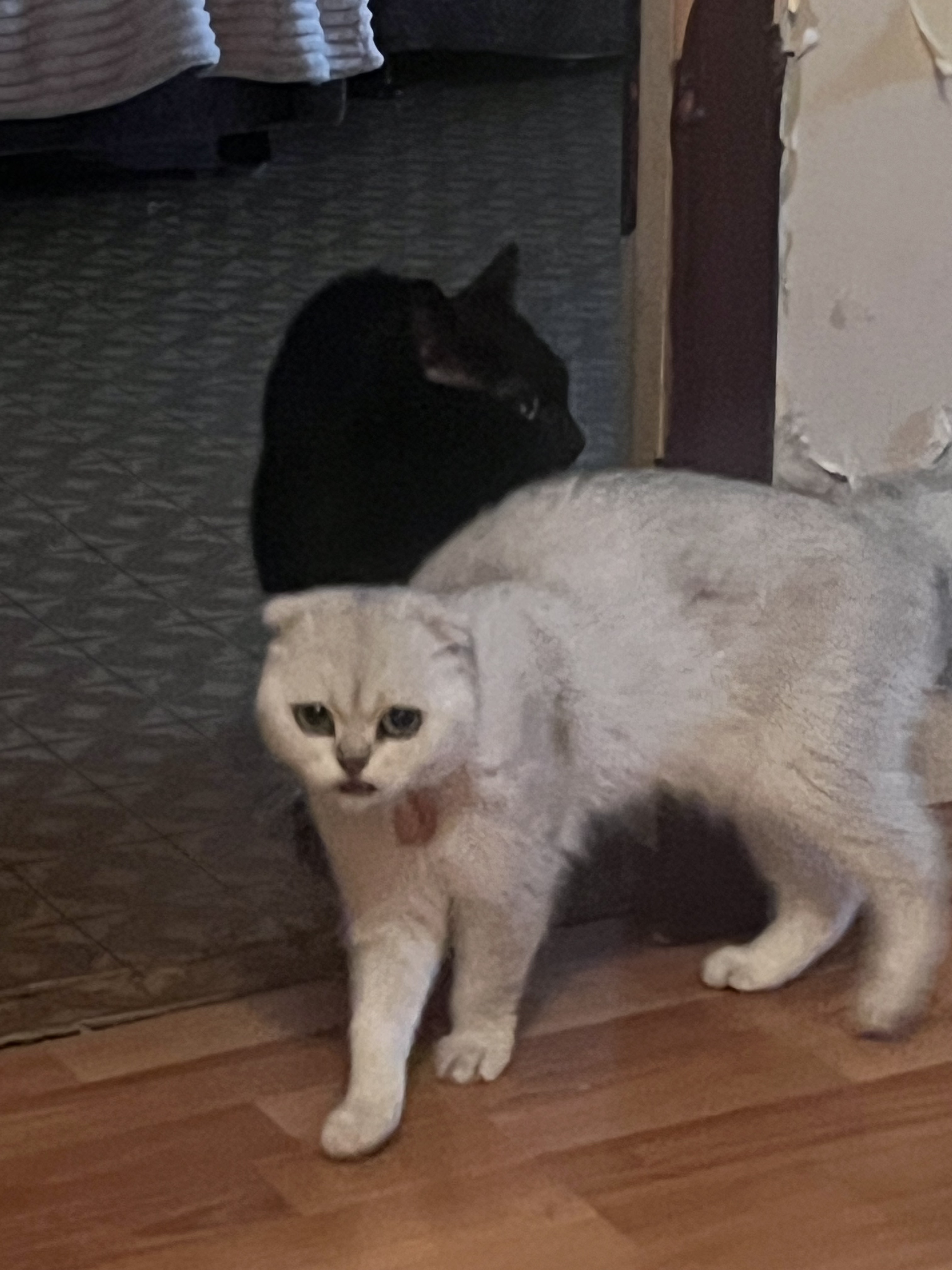 Минск до улица Михаила Миля, Минск