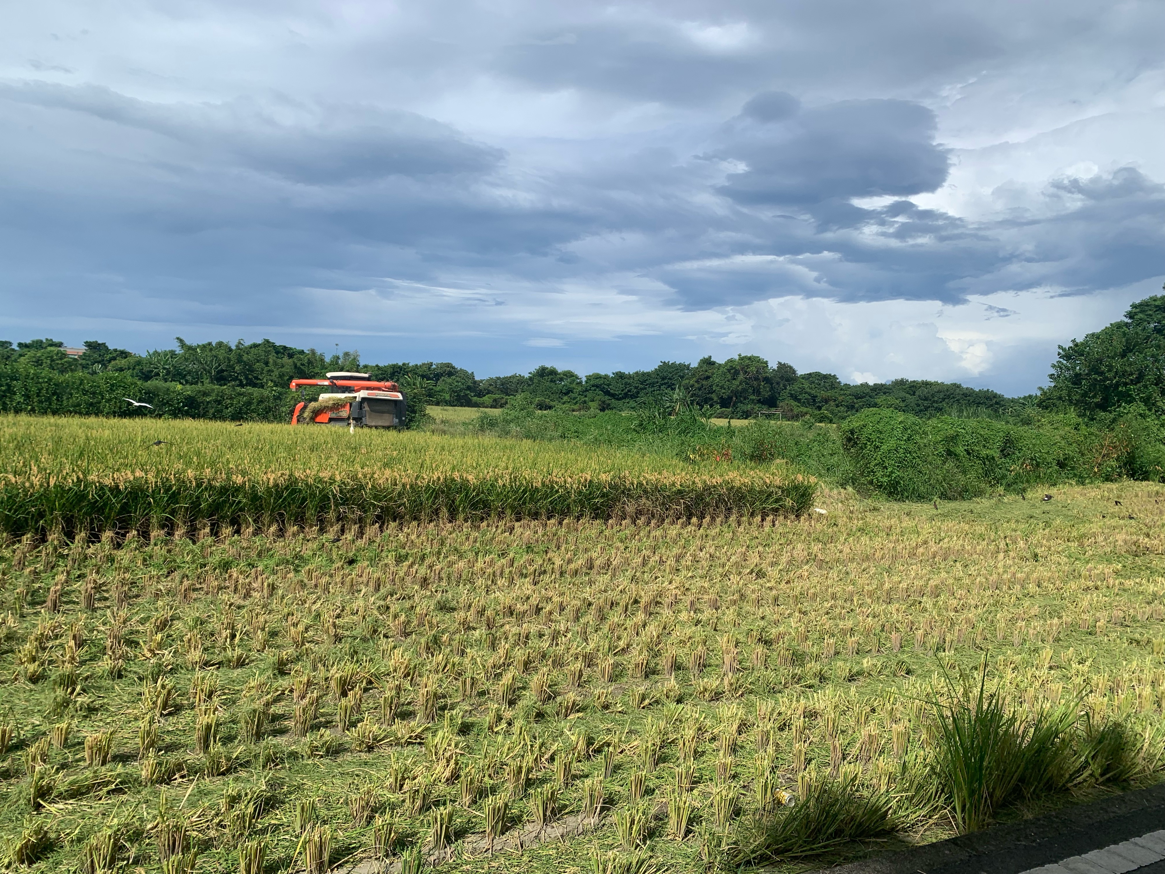 Nanliao, North District to E-W Expressway Nanliao-Zhudong Line, North District