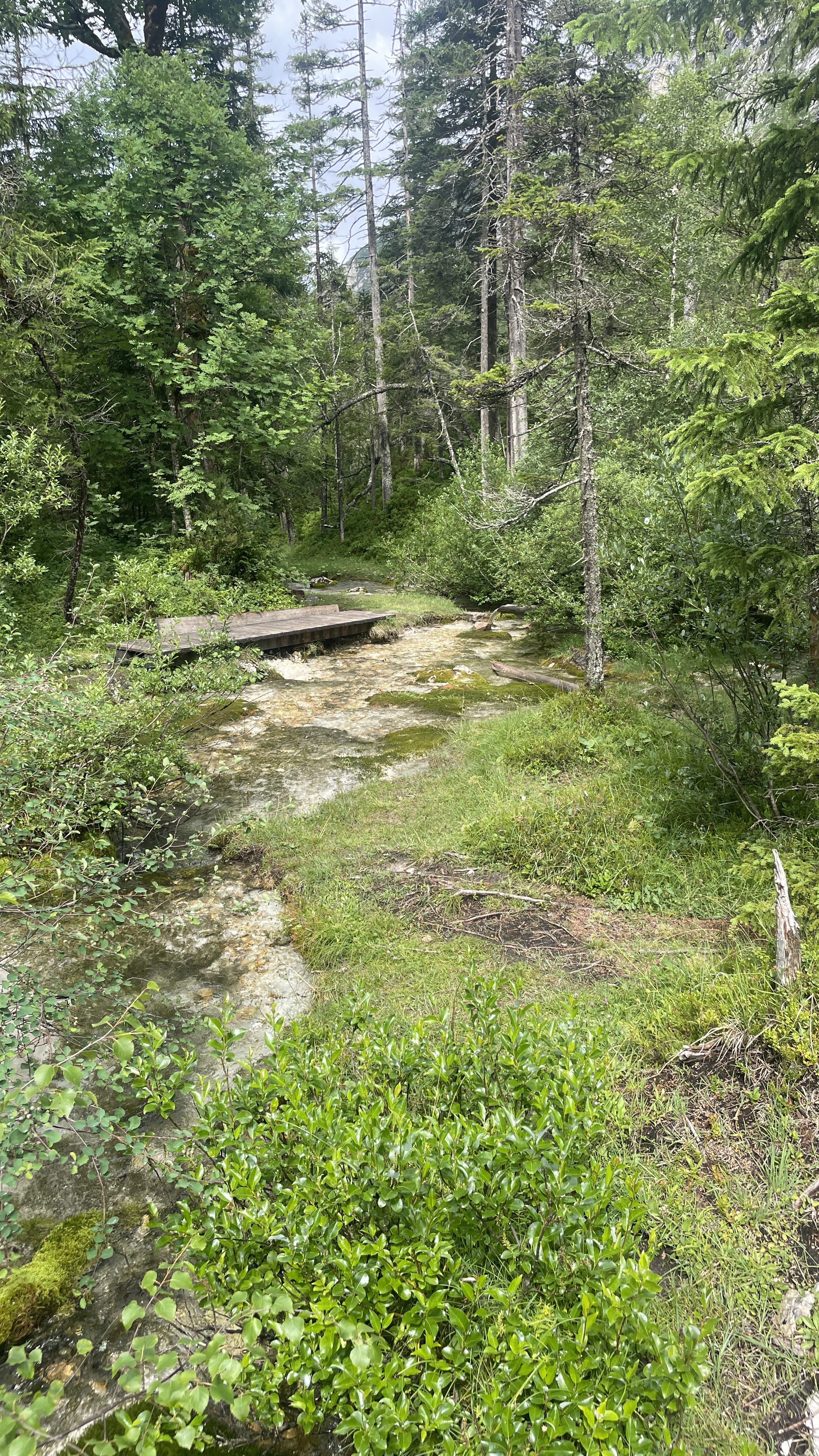 Gießenbach - Isarursprung