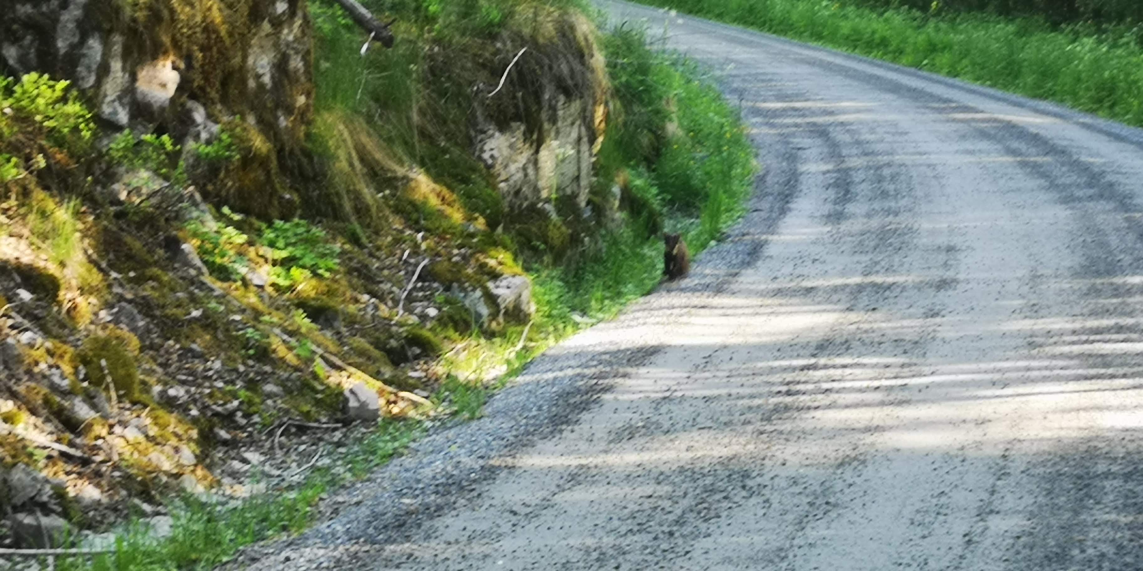 Highlight 4 along the Bikemap route "Suldalsosen-Oslo"
