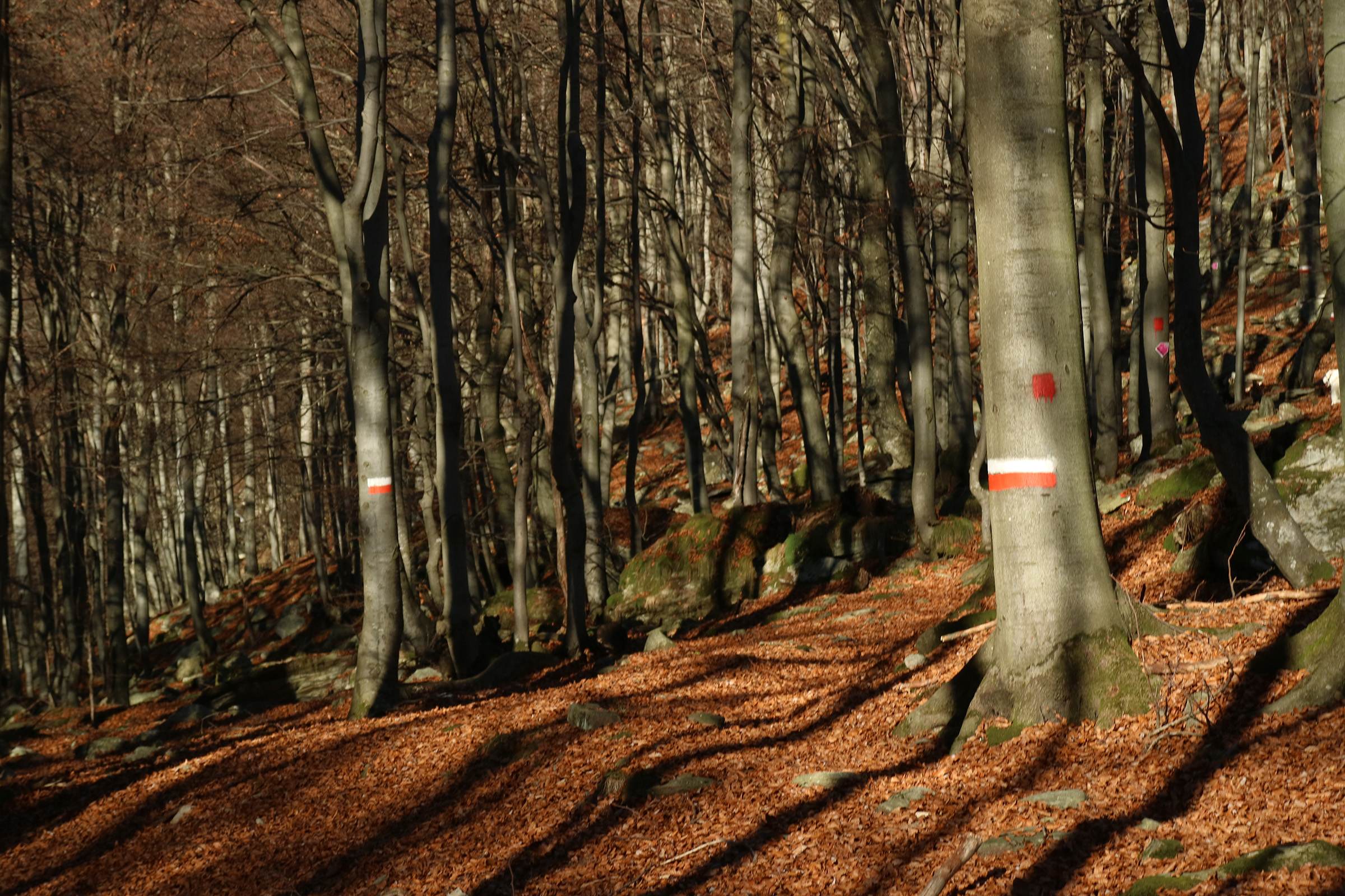 Highlight 13 along the Bikemap route "Sentiero del Redio"