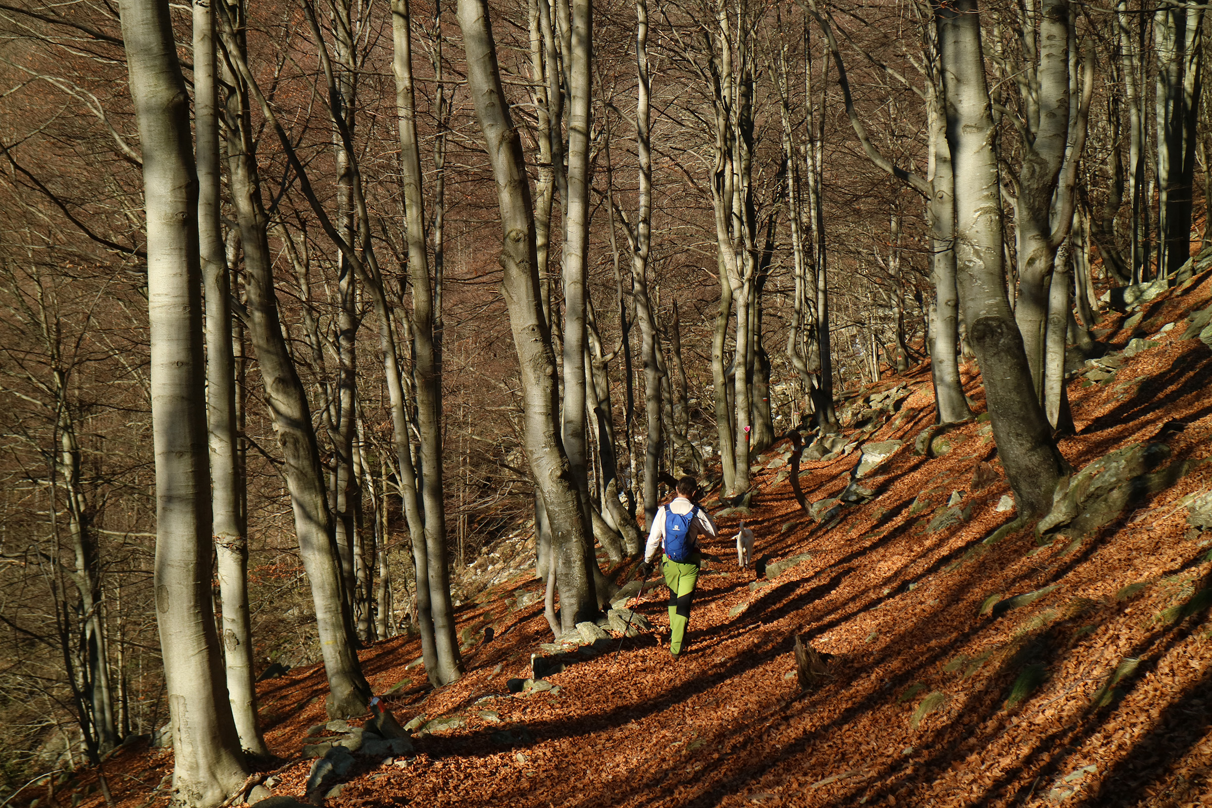 Highlight 12 along the Bikemap route "Sentiero del Redio"