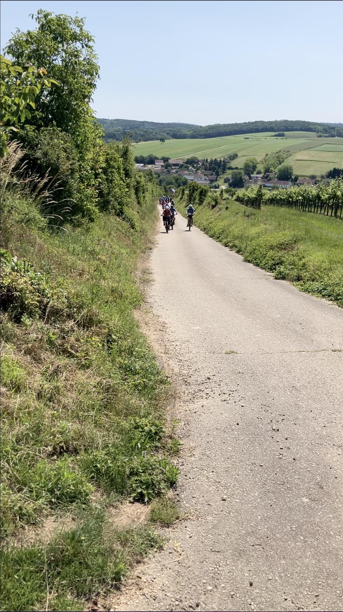 Highlight 1 along the Bikemap route "Samstag: Suttenbrunn-Großwetzdorf-Straning-Sitzendorf a. d. Schmida"